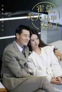 总裁夫人惹不起&霍总,夫人马甲又掉了(71集)-紫橙资源网