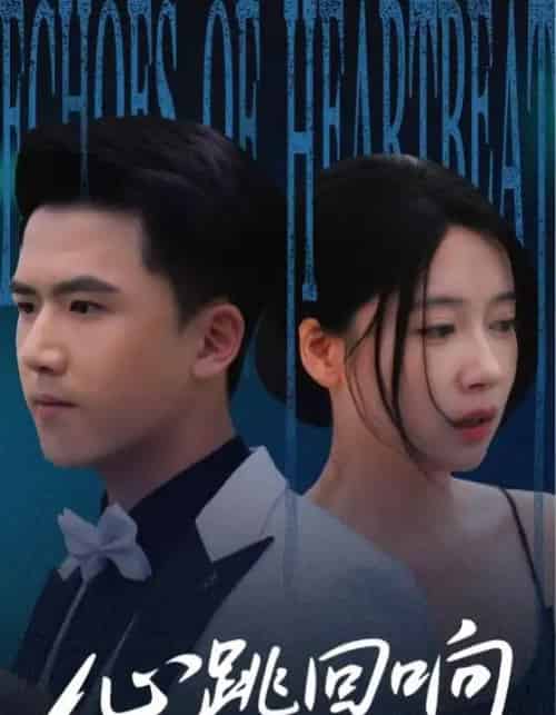 心跳回响(67集)-紫橙资源网