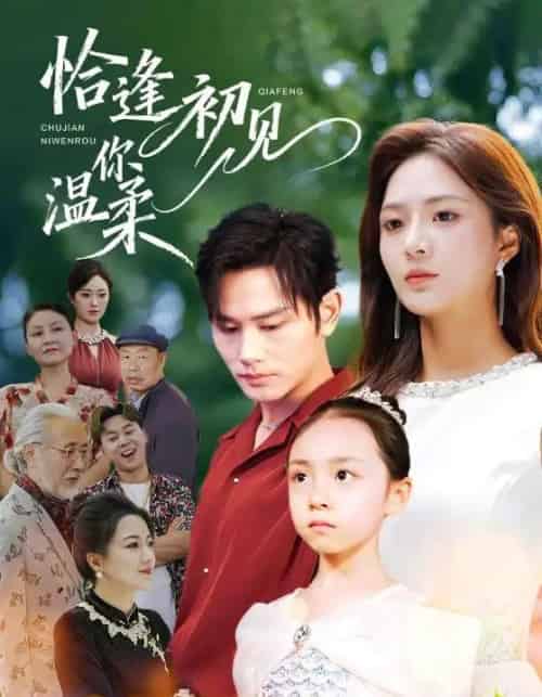 恰逢初见你温柔（86集全）曹景皓＆刘美娜-紫橙资源网