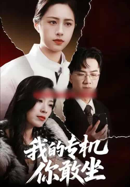 我的专机你敢坐(62集全)王婧琦&周家洪-紫橙资源网