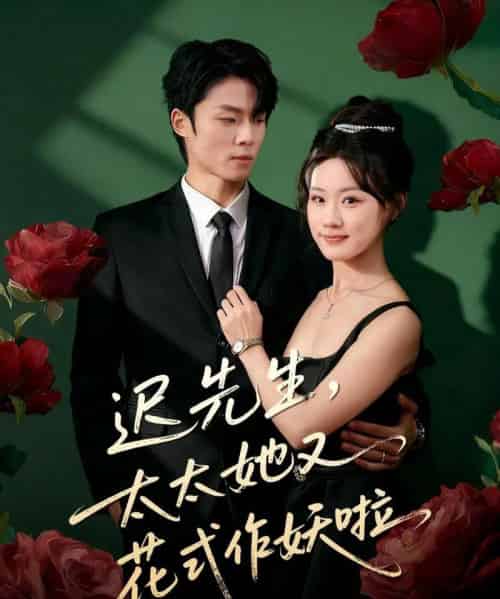 迟先生,太太她又花式作妖啦(61集全)杨晨&邵依蕊-紫橙资源网