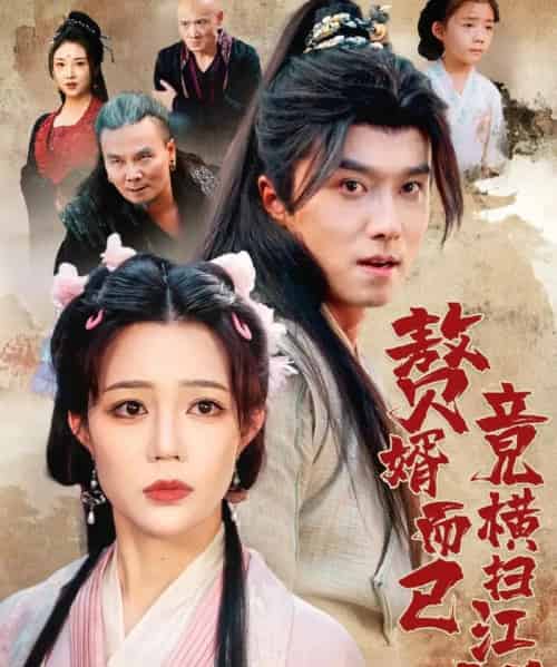 赘婿而已竟横扫江湖（64集全）王振＆章圻悦-紫橙资源网