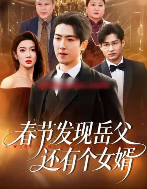 春节发现岳父还有个女婿（50集全）赵阿东＆沈玥妡-紫橙资源网