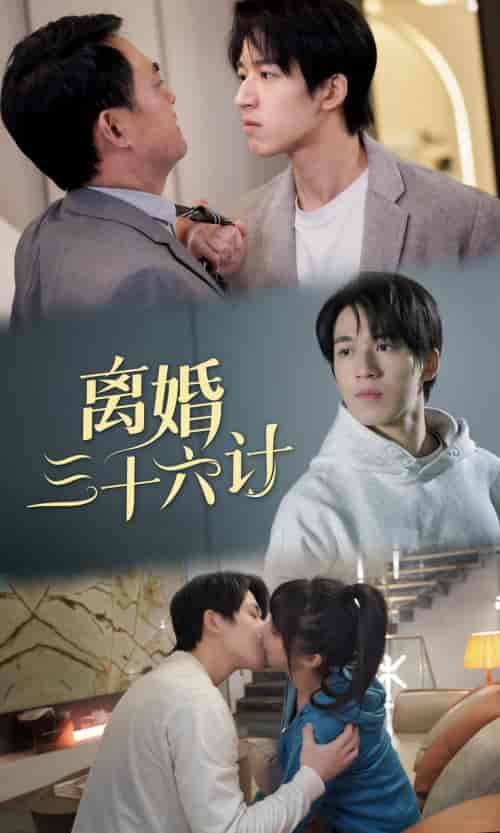 离婚三十六计（96集）-紫橙资源网