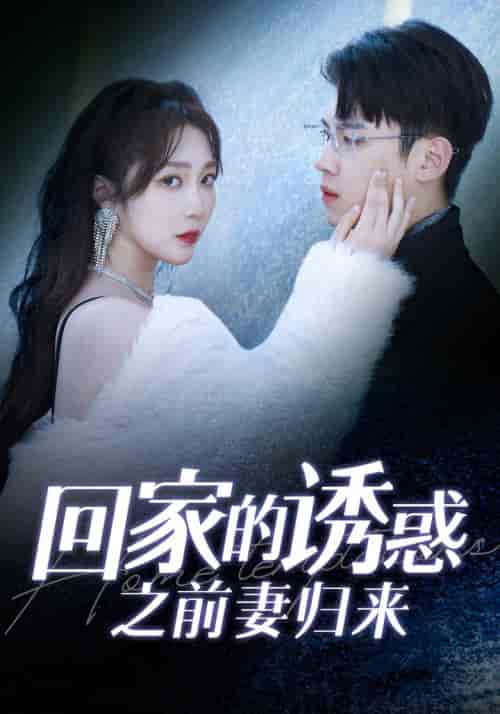 回家的诱惑之前妻归来（87集）-紫橙资源网