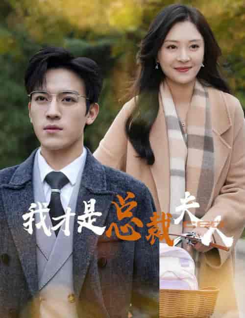 我才是总裁夫人（41集全）-紫橙资源网