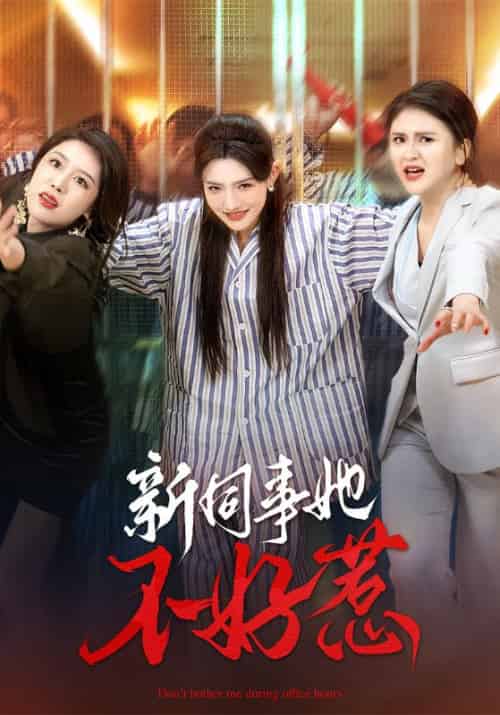 新同事她不好惹（37集全）常丹丹＆钟莹玲-紫橙资源网