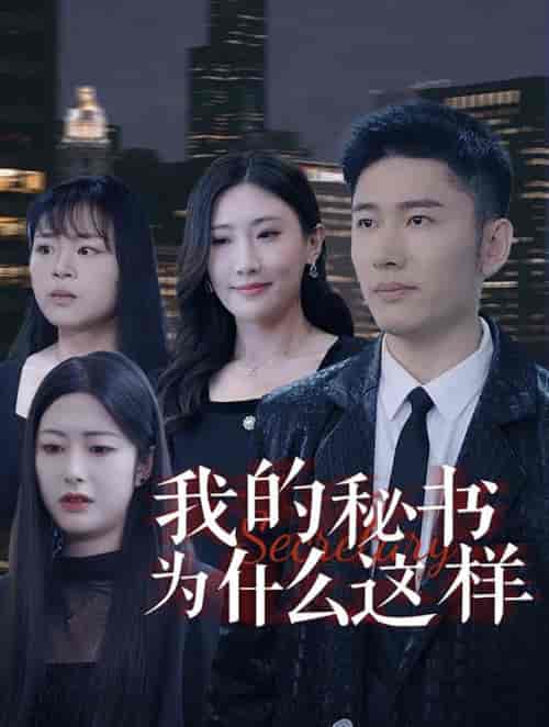 我的秘书为什么这样（94集全）-紫橙资源网