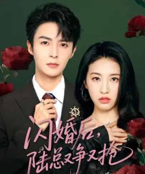 闪婚后陆总又争又抢（83集）管栎＆杜雨宸-紫橙资源网