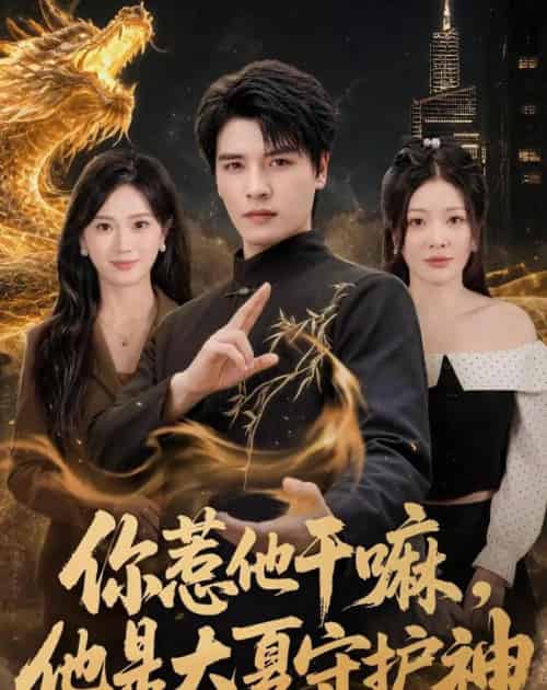 你惹他干嘛，他是大夏守护神（78集全）李彬航＆林初-紫橙资源网
