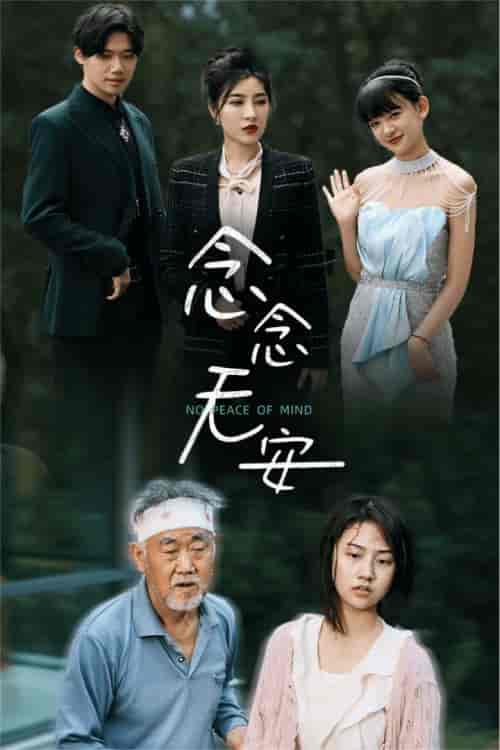念念无安（65集）-紫橙资源网