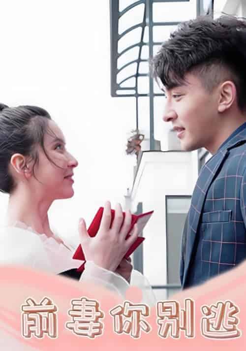 前妻你别逃（20集全）安佑臣＆于洛熙-紫橙资源网