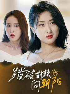 踏破荆棘向朝阳（80集全）-紫橙资源网