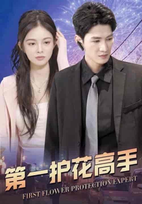 第一护花高手（100集全）林啸天＆程新月-紫橙资源网