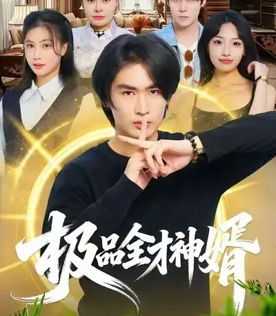 极品全才神婿（67集全）贺熙遥＆徐梓舒-紫橙资源网