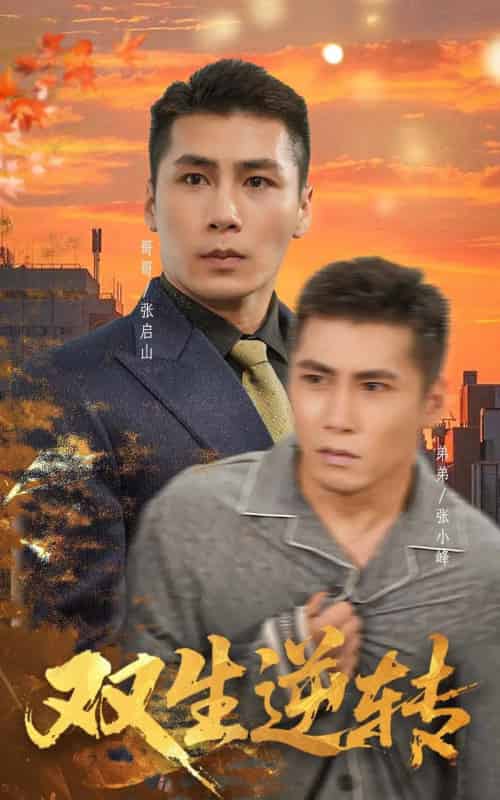 双生逆转（60集全）王妍-紫橙资源网