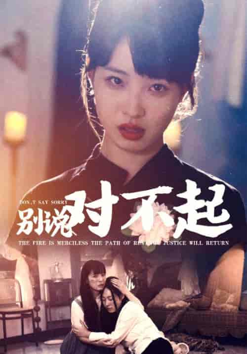 别说对不起（35集全）-紫橙资源网