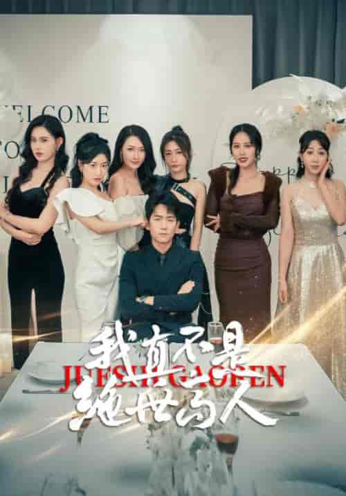 我真不是绝世高人（87集）-紫橙资源网