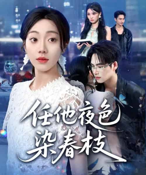 任他夜色染春枝（60集全）铭汐＆于颢鑫＆陈含-紫橙资源网