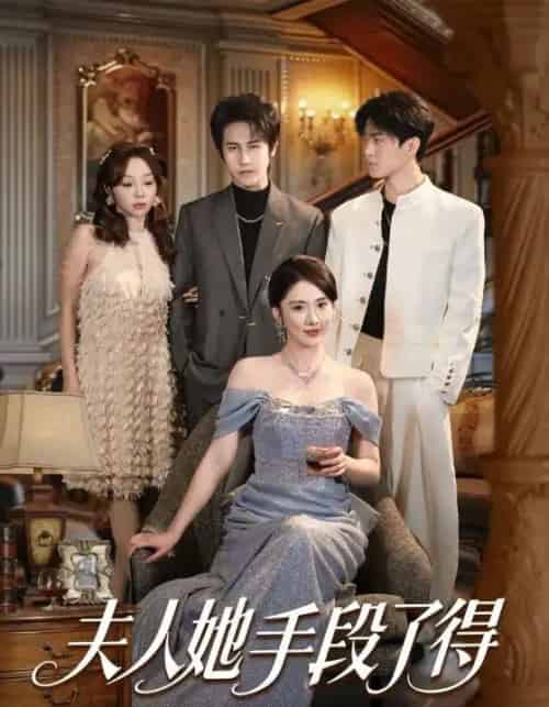 夫人她手段了得（82集全）孙航＆金鑫欣-紫橙资源网