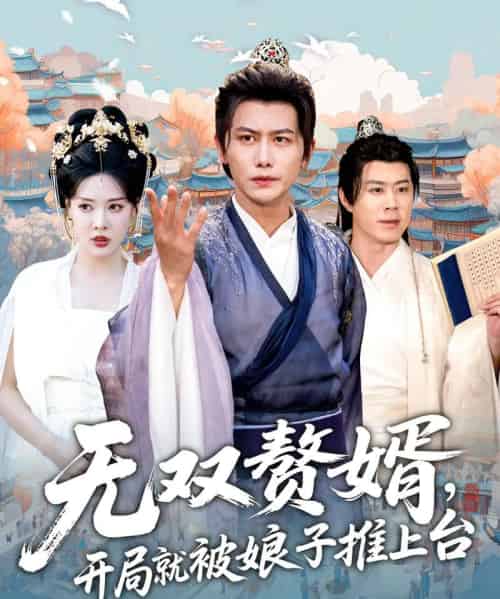 无双赘婿开局就被娘子推上台（80集）-紫橙资源网