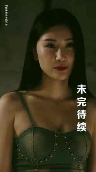 特工凤凰(绝色特工)(88集)-紫橙资源网