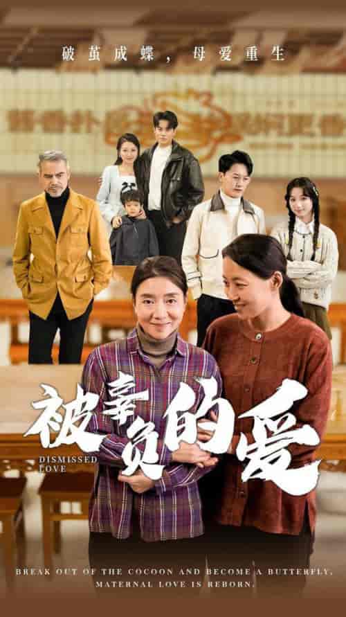 被辜负的爱（53集全）-紫橙资源网