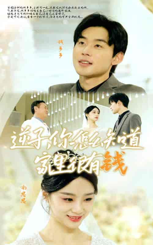 逆子，你怎么知道家里很有钱（95集）-紫橙资源网