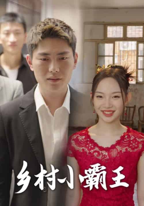 乡村小霸王（80集全）-紫橙资源网