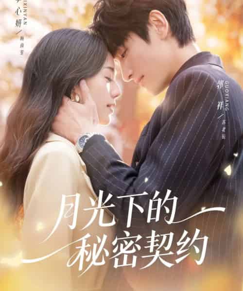 月光下的秘密契约(71集全)李心妍&郭祥-紫橙资源网