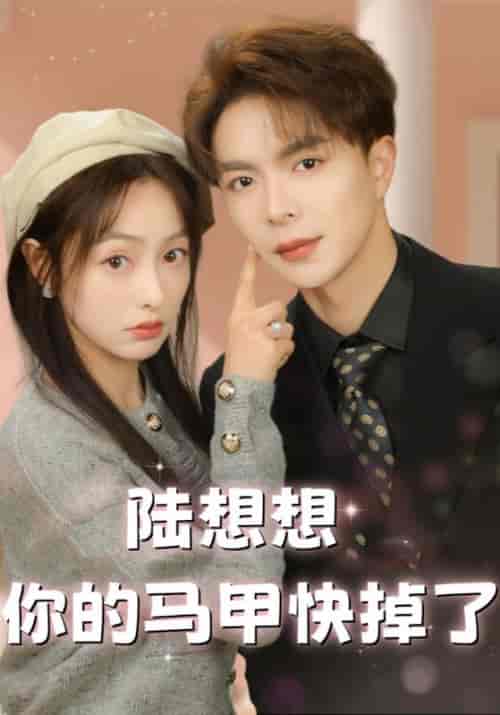 陆想想你的马甲快掉了（86集全）沈修宴＆陆想想-紫橙资源网