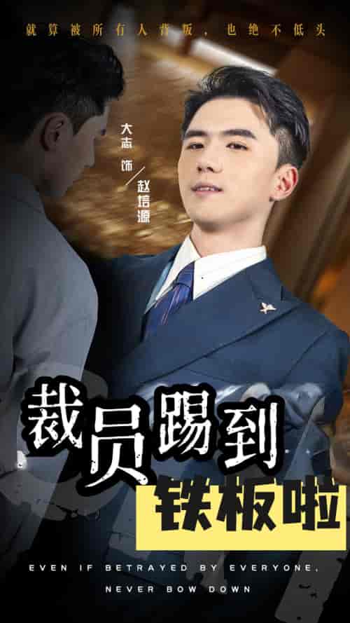 裁员踢到铁板啦（29集）-紫橙资源网