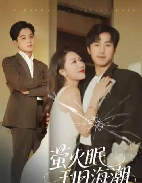 萤火眠于旧海潮（63集全）钟莹玲＆贺龙天-紫橙资源网