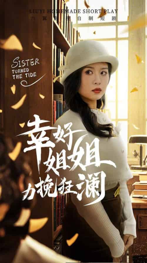 幸好姐姐力挽狂澜（66集全）刘惠敏 - 紫橙短剧