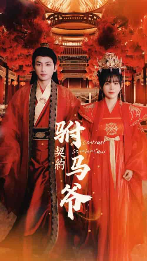 契约驸马爷（74集）-紫橙资源网
