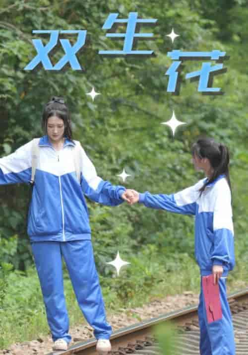 双生花需改名（36集全）王凯＆陈北月-紫橙资源网