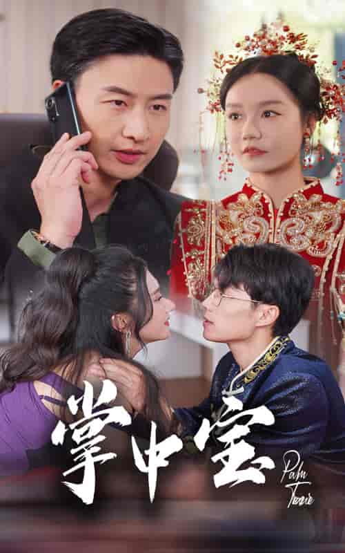 掌中宝（31集全）-紫橙资源网