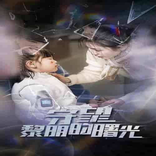 守望黎明的曙光（45集全）-紫橙资源网