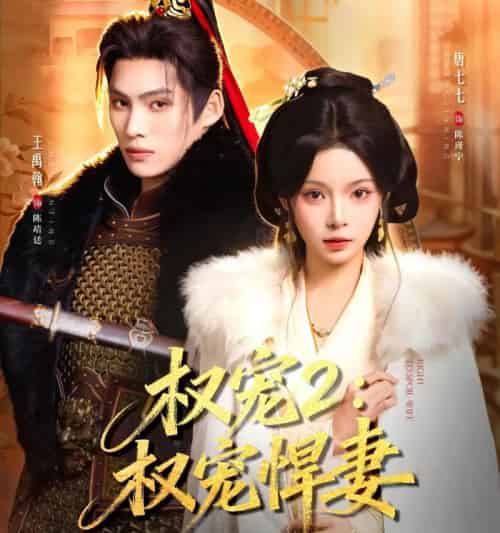 权宠2:权宠悍妻(81集全)王禹翰&唐七七-紫橙资源网