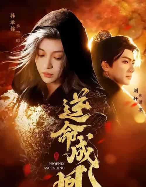 逆命成凰(70集全)刘轩&韩录锦-紫橙资源网