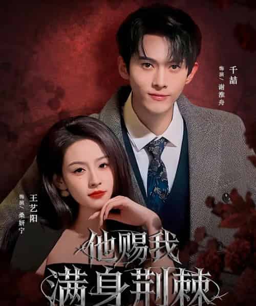 他赐我满身荆棘（80集全）千喆＆王艺阳（情侣档）-紫橙资源网
