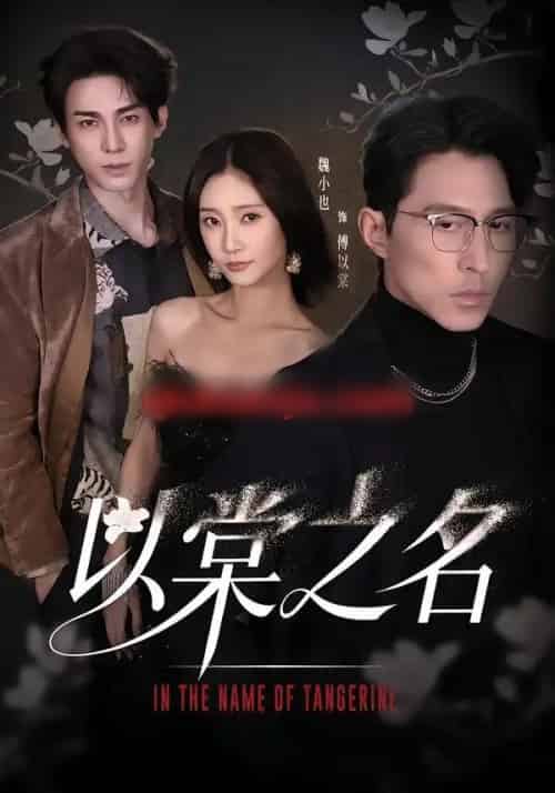 以棠之名（66集全）魏小也＆冯文栋-紫橙资源网