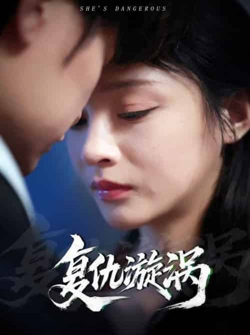 复仇漩涡（66集全）吴楚一＆万家乐-紫橙资源网