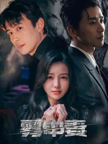 雾中妻(52集全)刘萧旭&黎沐乔-紫橙资源网