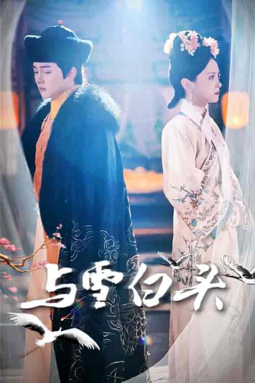 与雪白头（84集）-紫橙资源网