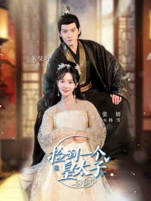 捡到一个皇太子（80集）-紫橙资源网