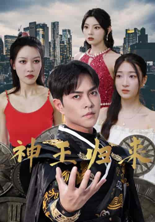 上神赘婿 上神赘婿