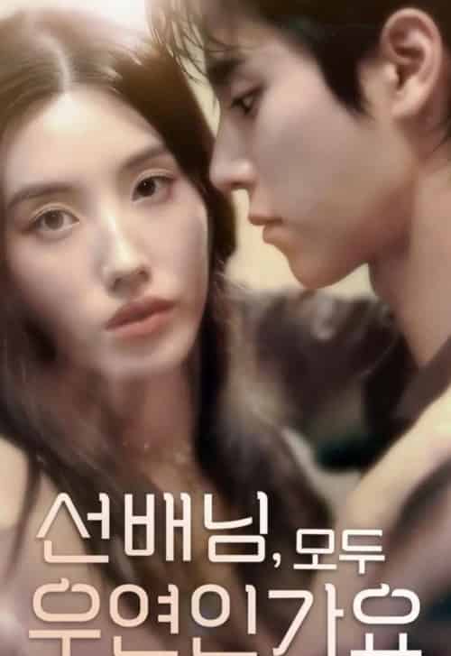 韩短前辈,都是偶然吗(50集全)-紫橙资源网