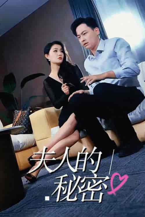 夫人的秘密（52集全）擦边剧-紫橙资源网