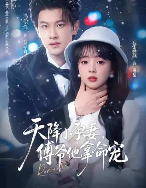 天降小孕妻,傅爷他拿命宠(76集全)冯伊洋&蔡淼燕-紫橙资源网